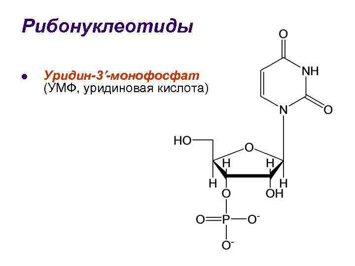 Схема образования уридина