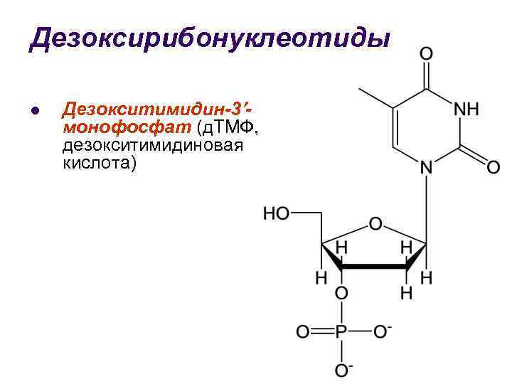 Дезоксирибонуклеотиды l Дезокситимидин-3 монофосфат (д. ТМФ, дезокситимидиновая кислота) 