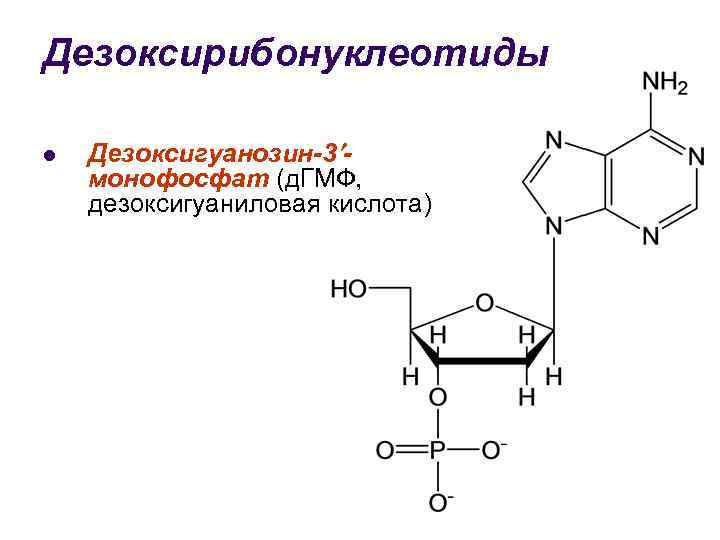 Дезоксирибонуклеотиды l Дезоксигуанозин-3 монофосфат (д. ГМФ, дезоксигуаниловая кислота) 