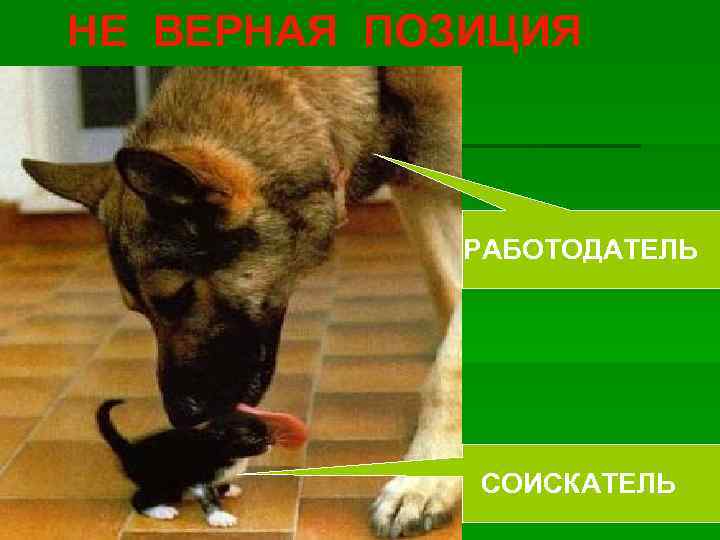 НЕ ВЕРНАЯ ПОЗИЦИЯ РАБОТОДАТЕЛЬ СОИСКАТЕЛЬ 