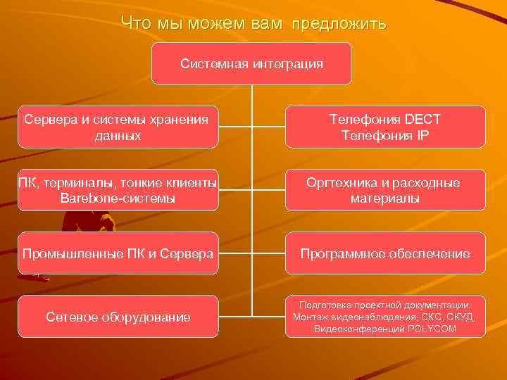 Что мы можем вам предложить Системная интеграция Сервера и системы хранения данных Телефония DECT