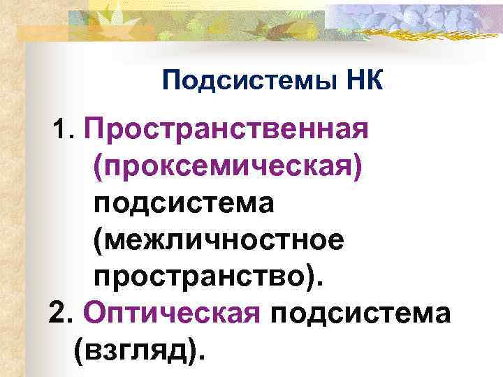 Подсистемы НК 1. Пространственная (проксемическая) подсистема (межличностное пространство). 2. Оптическая подсистема (взгляд). 