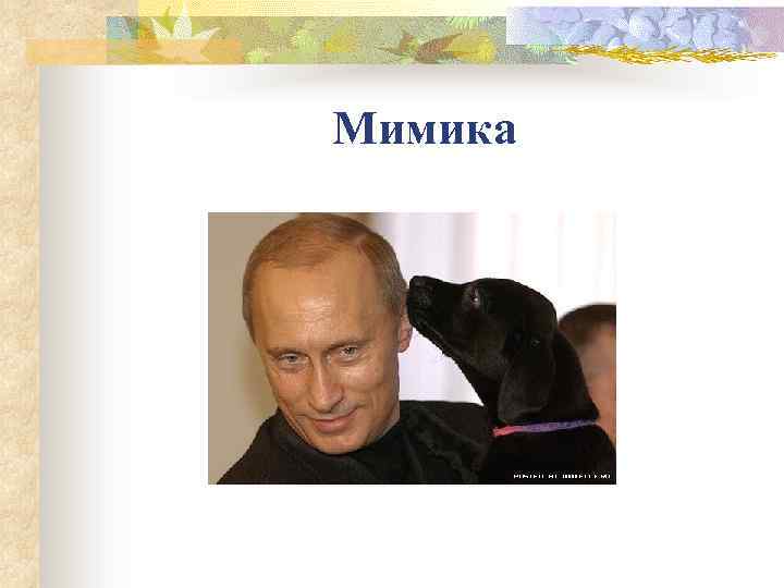 Мимика 