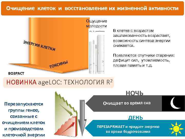Очищение клеток и восстановление их жизненной активности Ощущение молодости ЭНЕР ГИЯ К В клетке