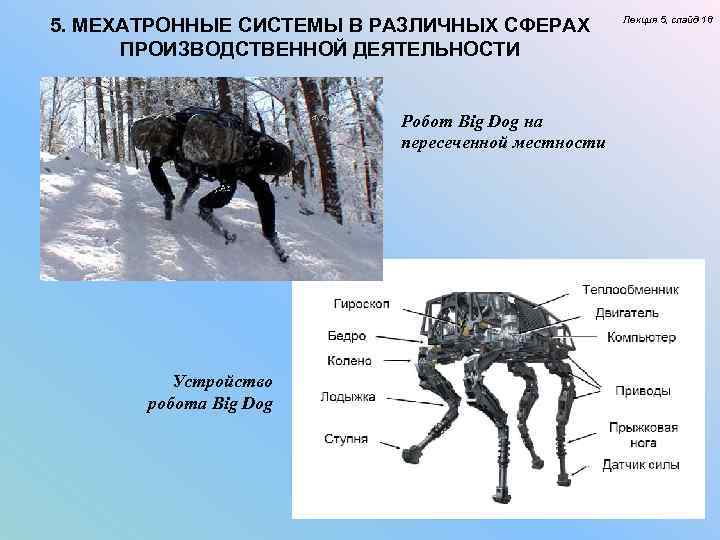 5. МЕХАТРОННЫЕ СИСТЕМЫ В РАЗЛИЧНЫХ СФЕРАХ ПРОИЗВОДСТВЕННОЙ ДЕЯТЕЛЬНОСТИ Робот Big Dog на пересеченной местности