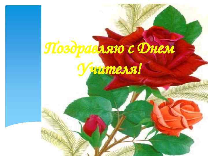 Поздравляю с Днем Учителя! 