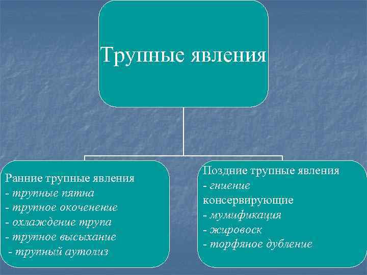 Трупные явления Ранние трупные явления - трупные пятна - трупное окоченение - охлаждение трупа