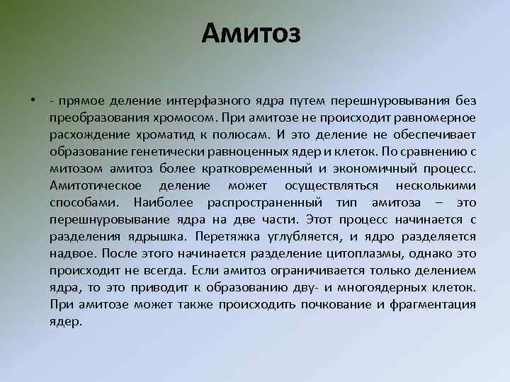 Амитоз • - прямое деление интерфазного ядра путем перешнуровывания без преобразования хромосом. При амитозе