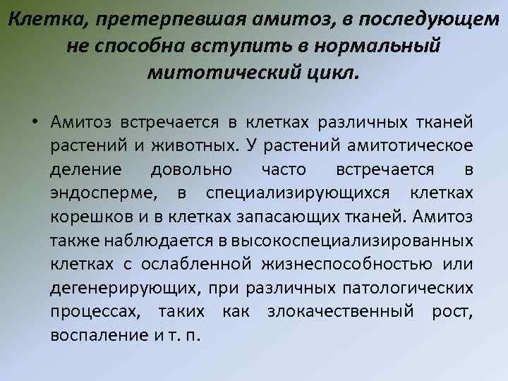 Клетка, претерпевшая амитоз, в последующем не способна вступить в нормальный митотический цикл. • Амитоз