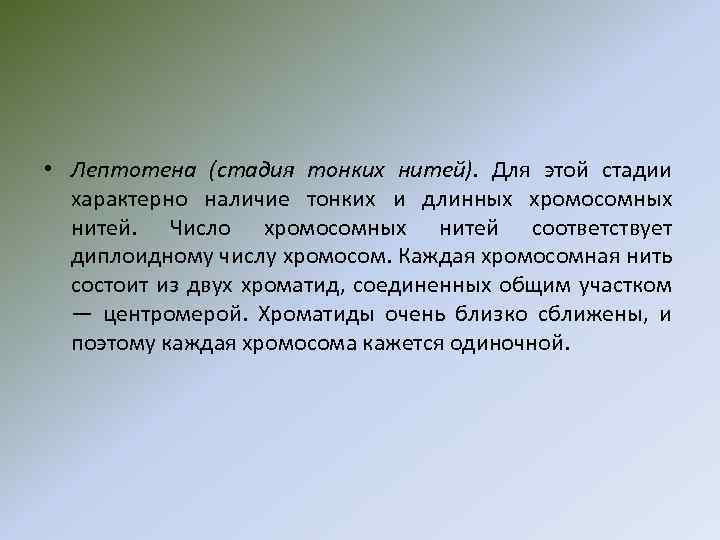  • Лептотена (стадия тонких нитей). Для этой стадии характерно наличие тонких и длинных