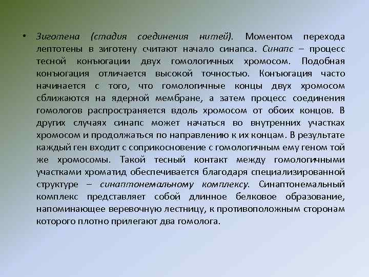  • Зиготена (стадия соединения нитей). Моментом перехода лептотены в зиготену считают начало синапса.