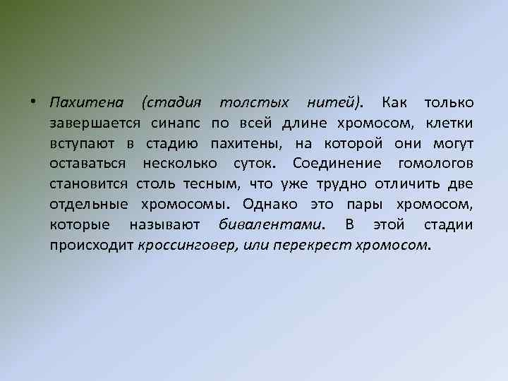  • Пахитена (стадия толстых нитей). Как только завершается синапс по всей длине хромосом,