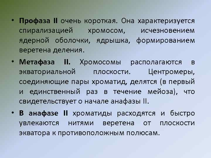  • Профаза II очень короткая. Она характеризуется спирализацией хромосом, исчезновением ядерной оболочки, ядрышка,