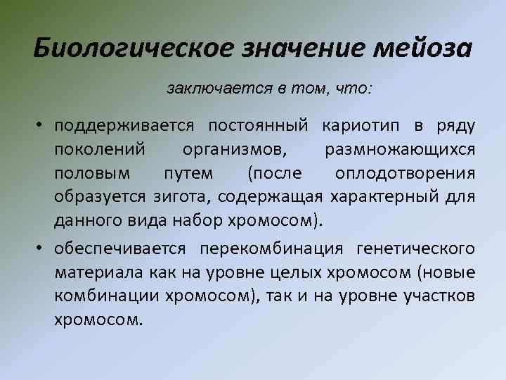 Биологическое значение мейоза заключается в том, что: • поддерживается постоянный кариотип в ряду поколений