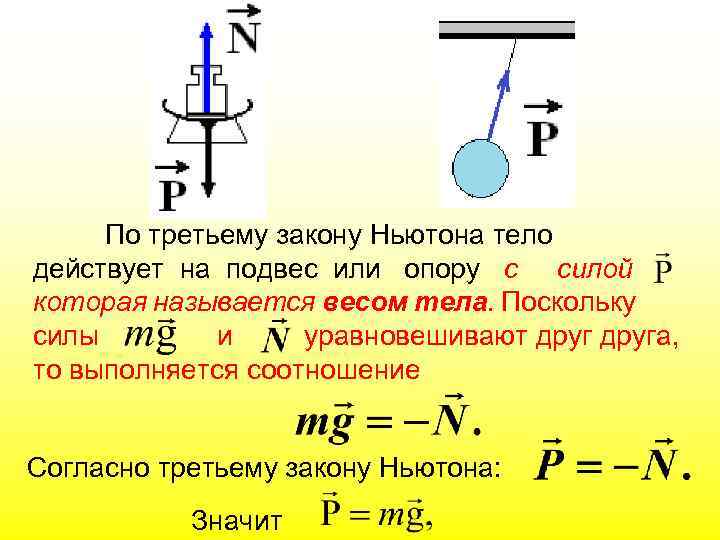 По третьему закону Ньютона тело действует на подвес или опору с силой которая называется
