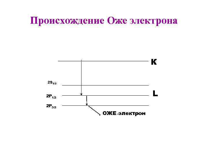 Происхождение Оже электрона К 2 S 1/2 L 2 P 1/2 2 P 3/2