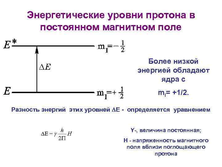 Протон в магнитном