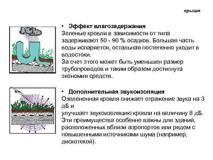 крыши • Эффект влагозадержания Зеленые кровли в зависимости от типа задерживают 50 - 90