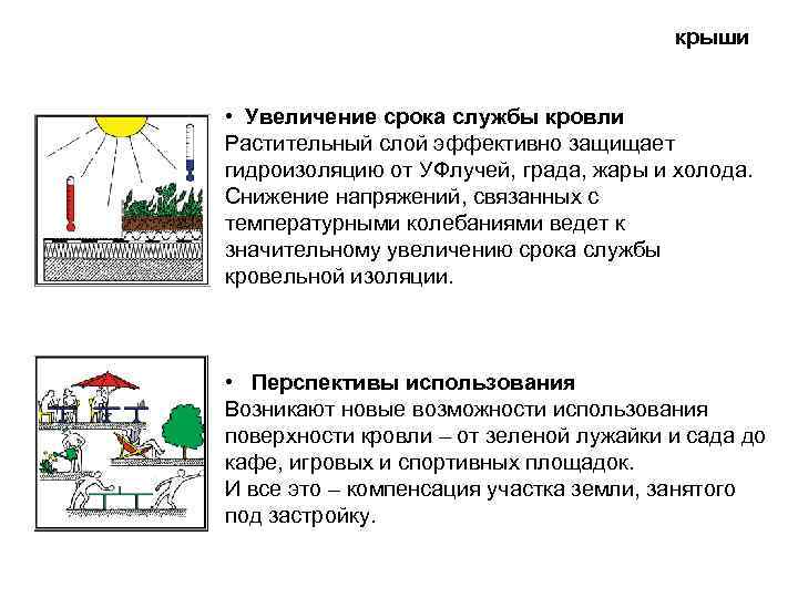 крыши • Увеличение срока службы кровли Растительный слой эффективно защищает гидроизоляцию от УФлучей, града,