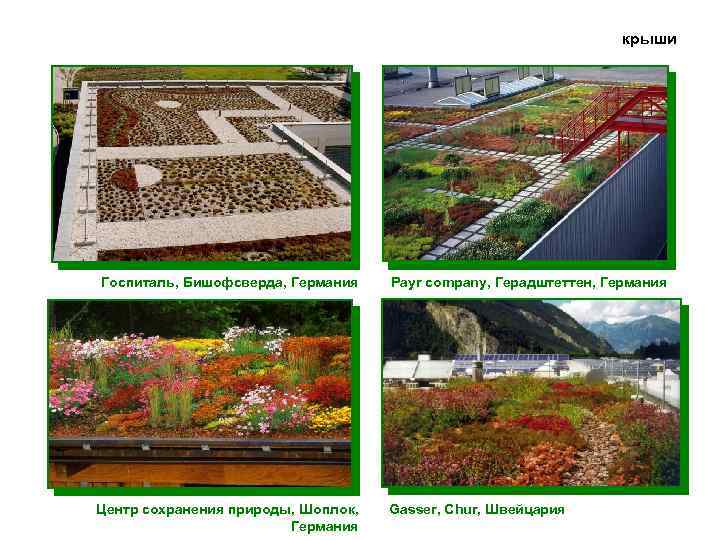 крыши Госпиталь, Бишофсверда, Германия Центр сохранения природы, Шоплок, Германия Payr company, Герадштеттен, Германия Gasser,