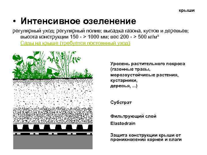 крыши • Интенсивное озеленение регулярный уход; регулярный полив; высадка газона, кустов и деревьев; высота