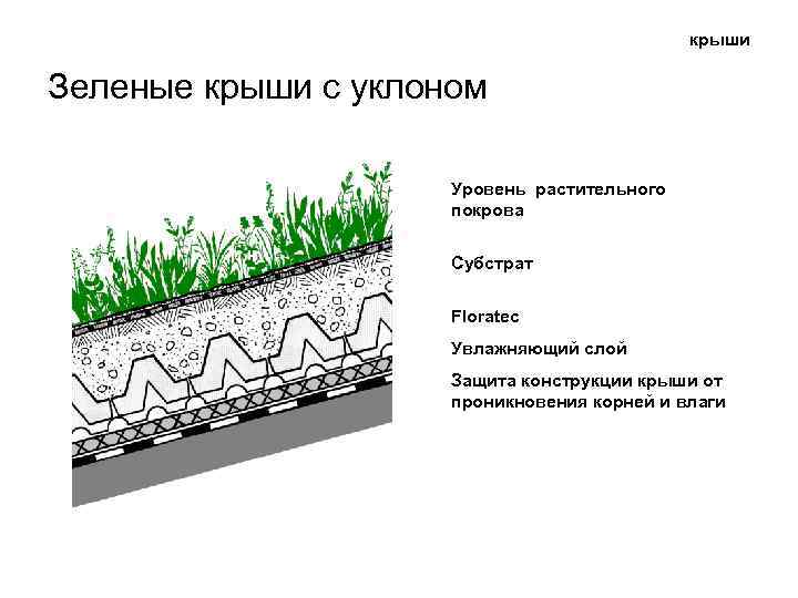 крыши Зеленые крыши с уклоном Уровень растительного покрова Субстрат Floratec Увлажняющий слой Защита конструкции