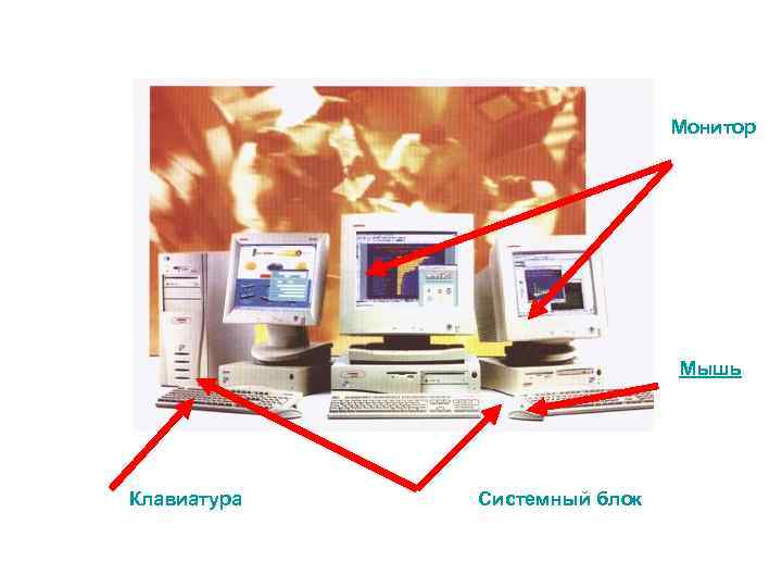 Монитор Мышь Клавиатура Системный блок 