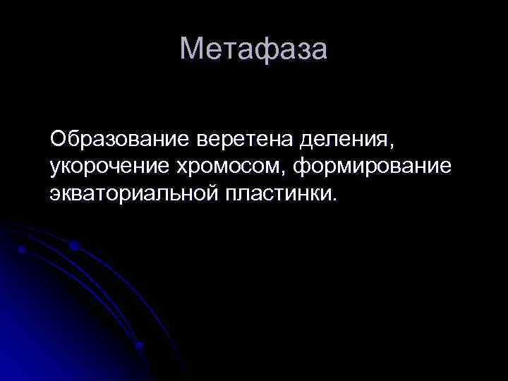 Метафаза Образование веретена деления, укорочение хромосом, формирование экваториальной пластинки. 