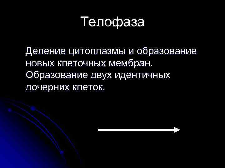  Телофаза Деление цитоплазмы и образование новых клеточных мембран. Образование двух идентичных дочерних клеток.