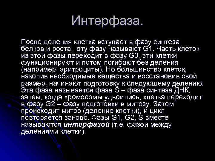 Интерфаза. После деления клетка вступает в фазу синтеза белков и роста, эту фазу называют