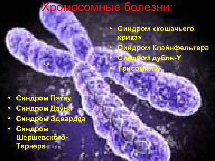 Хромосомные болезни: • Синдром «кошачьего крика» • Синдром Клайнфельтера • Синдром дубль-Y • Трисомия