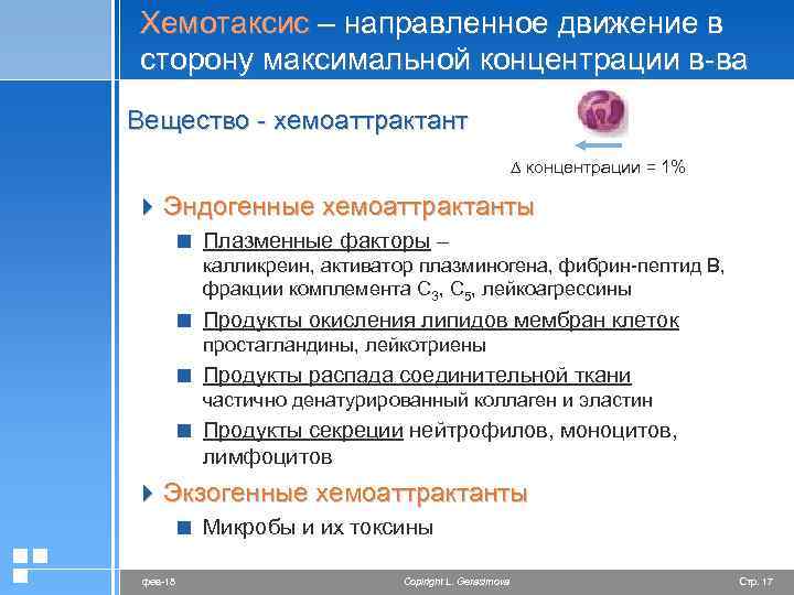 Хемотаксис – направленное движение в сторону максимальной концентрации в-ва Вещество - хемоаттрактант ∆ концентрации