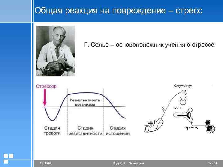 Общая реакция на повреждение – стресс Г. Селье – основоположник учения о стрессе 2/1/2018