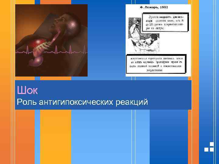 Шок Роль антигипоксических реакций 