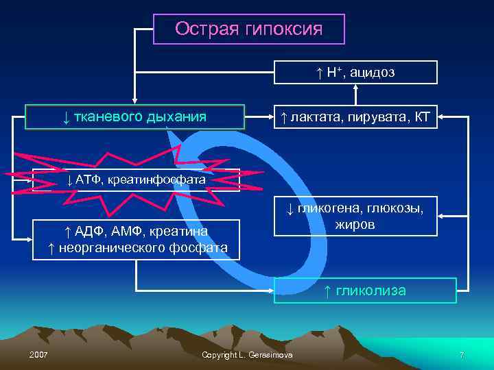 Острая гипоксия ↑ Н+, ацидоз ↓ тканевого дыхания ↑ лактата, пирувата, КТ ↓ АТФ,