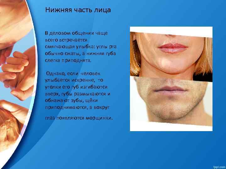 Нижняя часть лица В деловом общении чаще всего встречается смягчающая улыбка: углы рта обычно