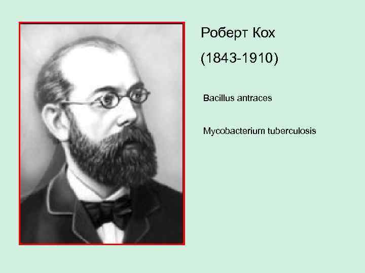 Роберт Кох (1843 -1910) Bacillus antraces Mycobacterium tuberculosis 