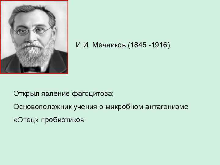 И. И. Мечников (1845 -1916) Открыл явление фагоцитоза; Основоположник учения о микробном антагонизме «Отец»