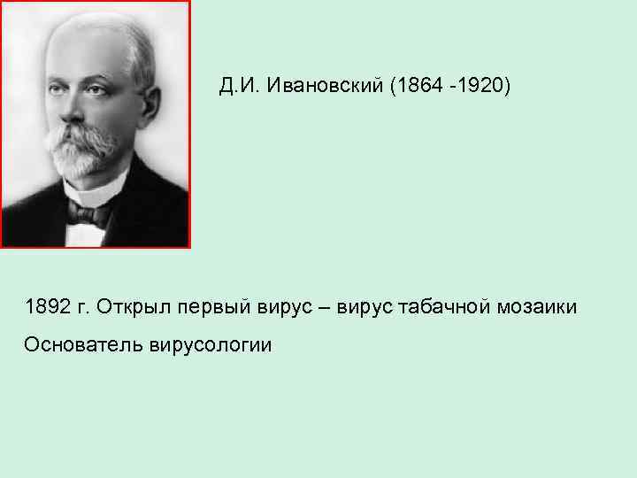 Д. И. Ивановский (1864 -1920) 1892 г. Открыл первый вирус – вирус табачной мозаики