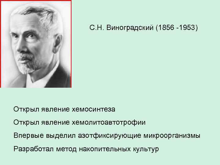 С. Н. Виноградский (1856 -1953) Открыл явление хемосинтеза Открыл явление хемолитоавтотрофии Впервые выделил азотфиксирующие
