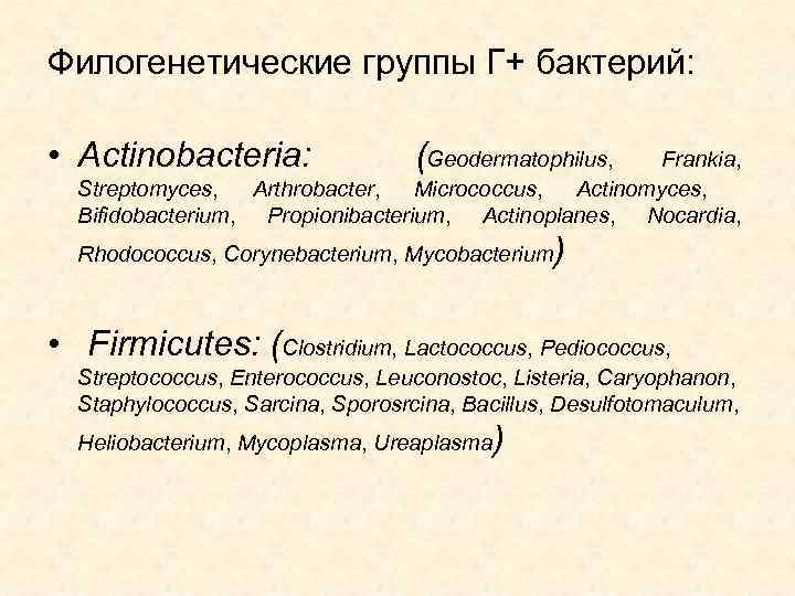 Филогенетические группы Г+ бактерий: • Actinobacteria: (Geodermatophilus, Frankia, Streptomyces, Arthrobacter, Micrococcus, Actinomyces, Bifidobacterium, Propionibacterium,