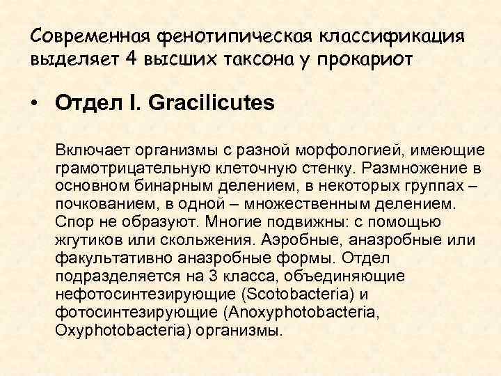 Современная фенотипическая классификация выделяет 4 высших таксона у прокариот • Отдел I. Gracilicutes Включает