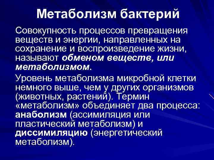 Метаболизм бактерий Совокупность процессов превращения веществ и энергии, направленных на сохранение и воспроизведение жизни,