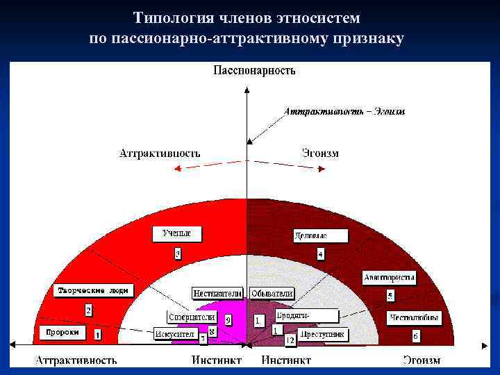 Типология членов этносистем по пассионарно аттрактивному признаку 