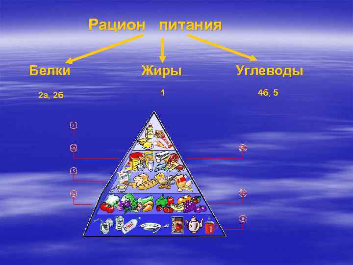 Рацион питания Белки Жиры Углеводы 2 а, 2 б 1 4 б, 5 