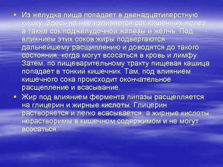 § Из желудка пища попадает в двенадцатиперстную кишку. Здесь на нее изливается сок кишечных