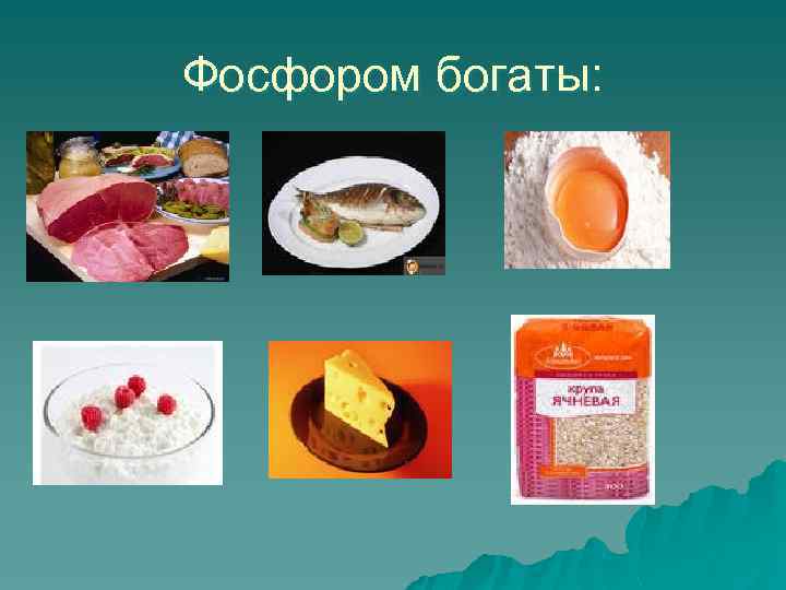 Фосфором богаты: 