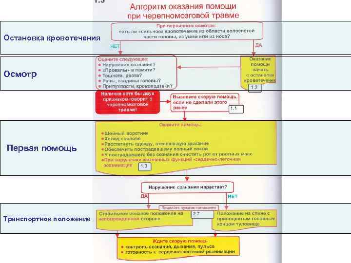 Остановка кровотечения Осмотр Первая помощь Транспортное положение 