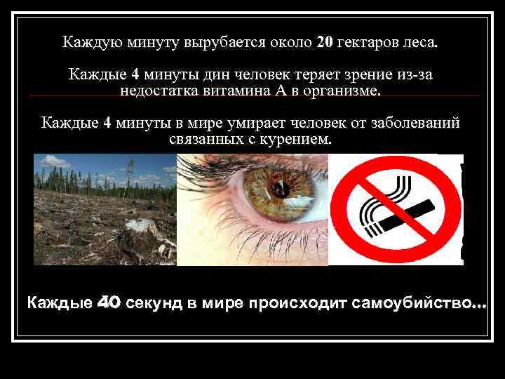 Каждую минуту вырубается около 20 гектаров леса. Каждые 4 минуты дин человек теряет зрение
