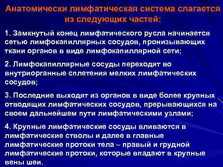 Анатомически лимфатическая система слагается из следующих частей: 1. Замкнутый конец лимфатического русла начинается сетью